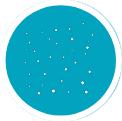 Icon 19